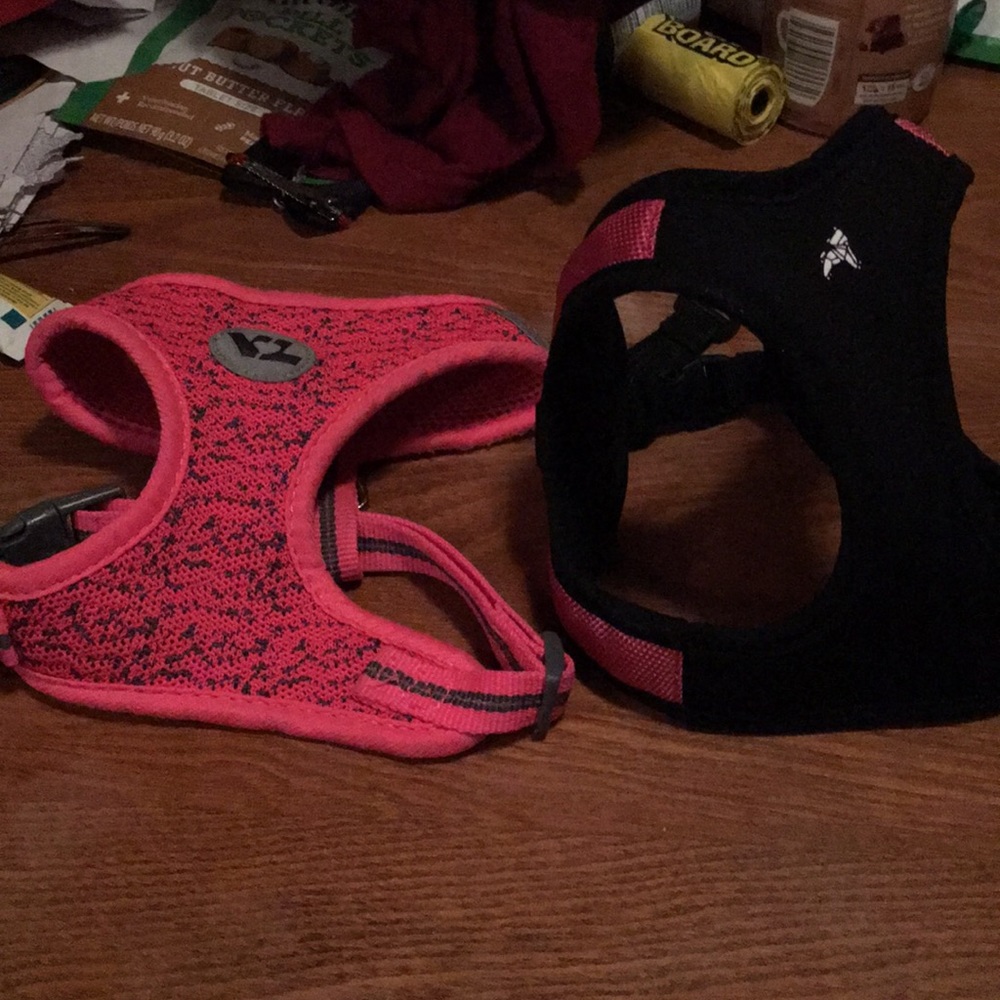 Dog halters